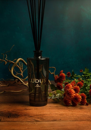 Luxury WILD FIG Diffuser