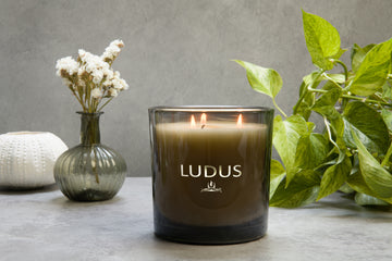 Wild Fig Candle 220g
