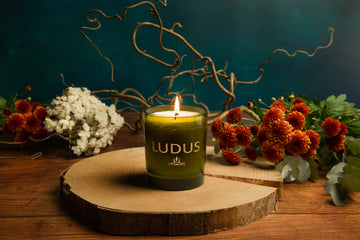 OUD 220g Candle