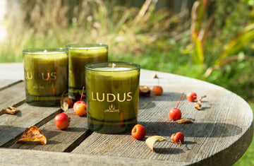 EDEN ROSE 220g Candle